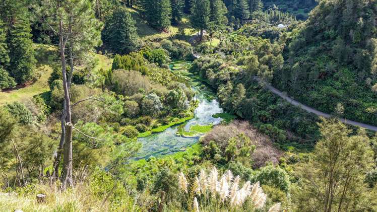 Leslie Road Putaruru_7