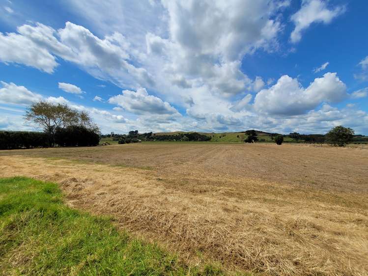 142 Awakino Point North Road Dargaville Surrounds_13