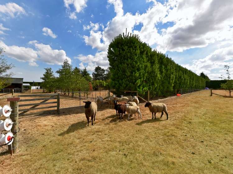 1/2546 Wards Road Darfield_22