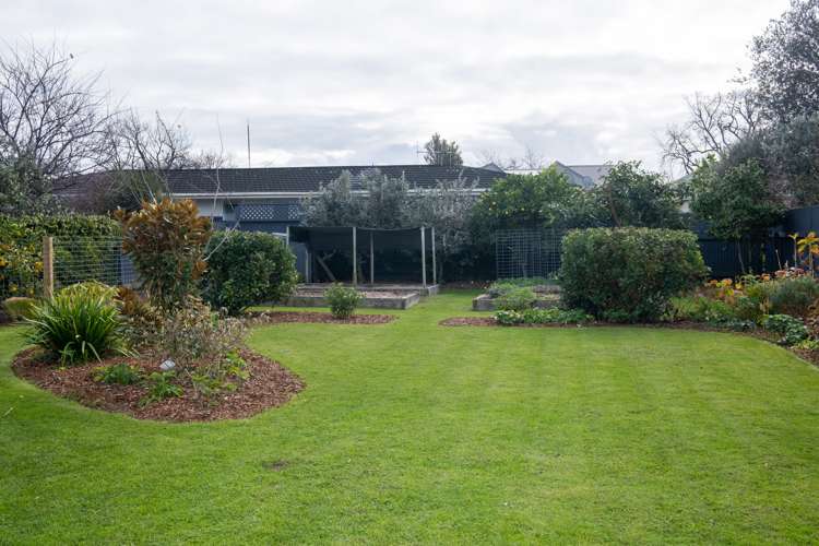 4 Rose Street Napier South_19