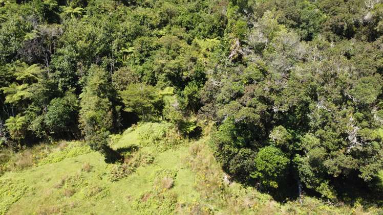 254 Doughboy Road Kokatahi_79