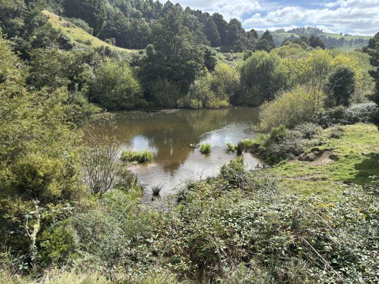 Paraketu Road Waimiha_19