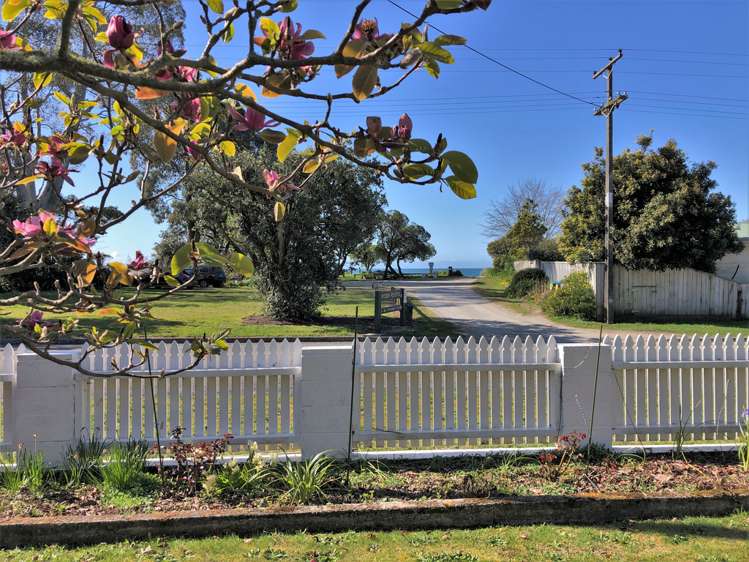 279 Patons Rock Road Kahurangi National Park_17