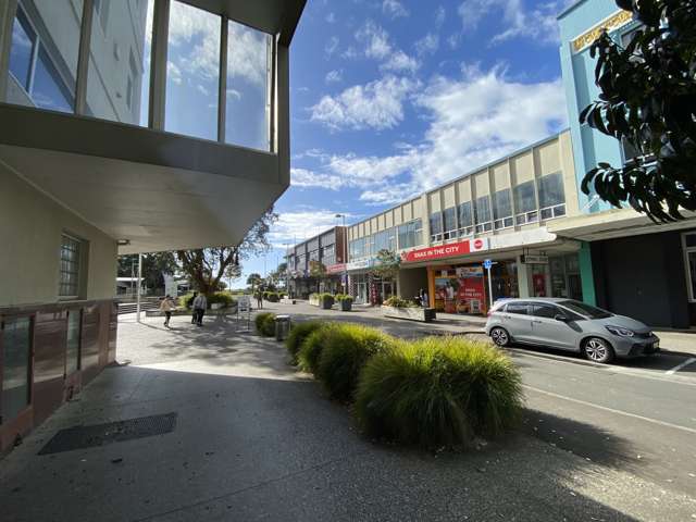 17 Brougham Street New Plymouth_4