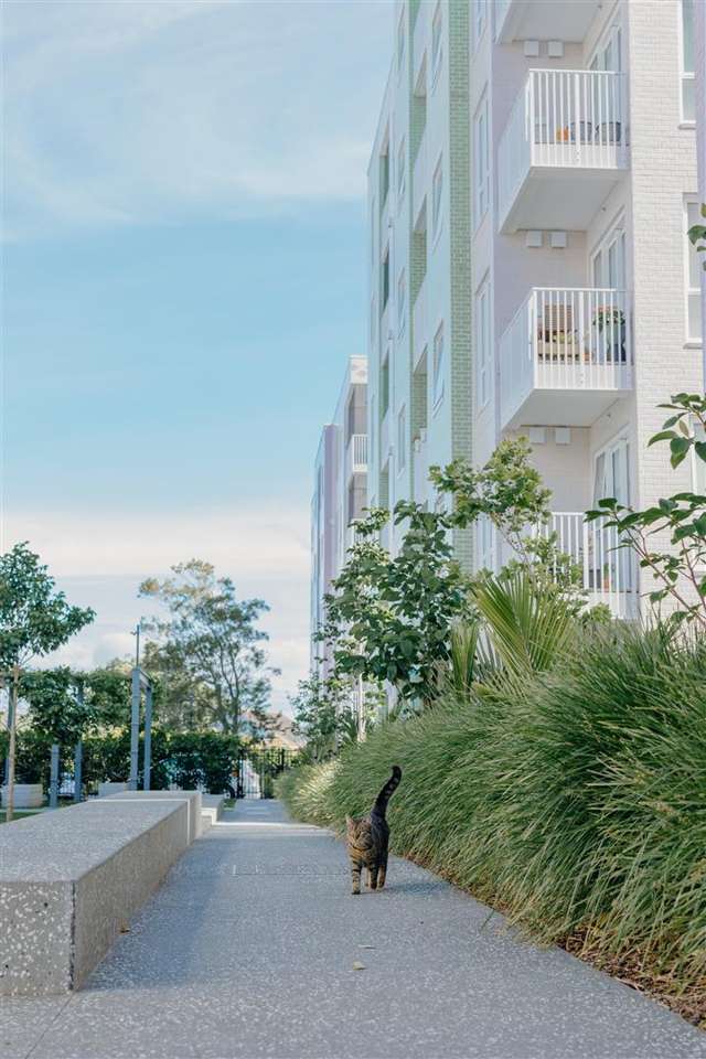 Summer Poolside in Onehunga