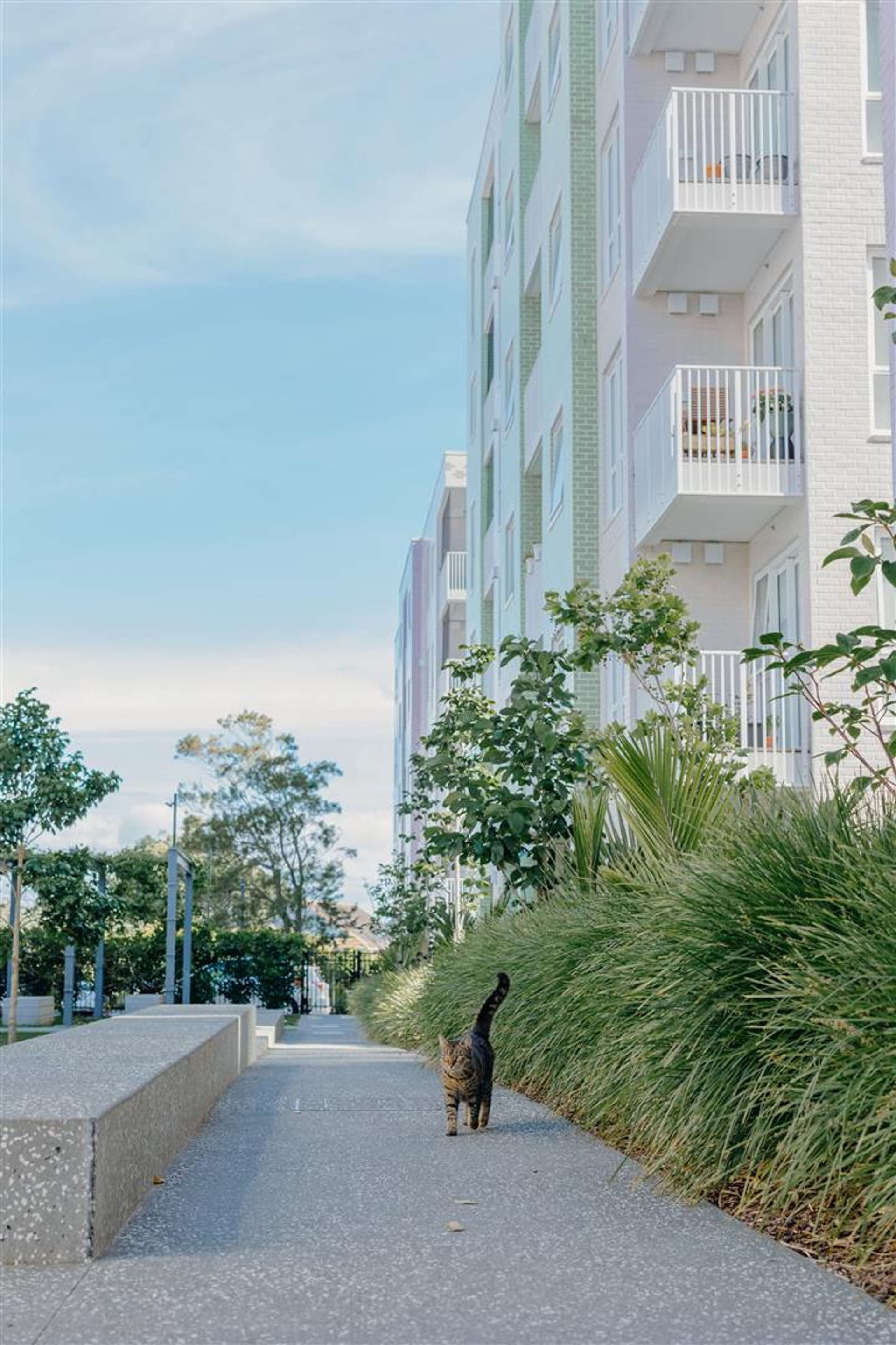 G03/9A Jordan Avenue Onehunga_0