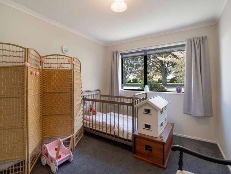 83 West Town Belt Rakaia_17