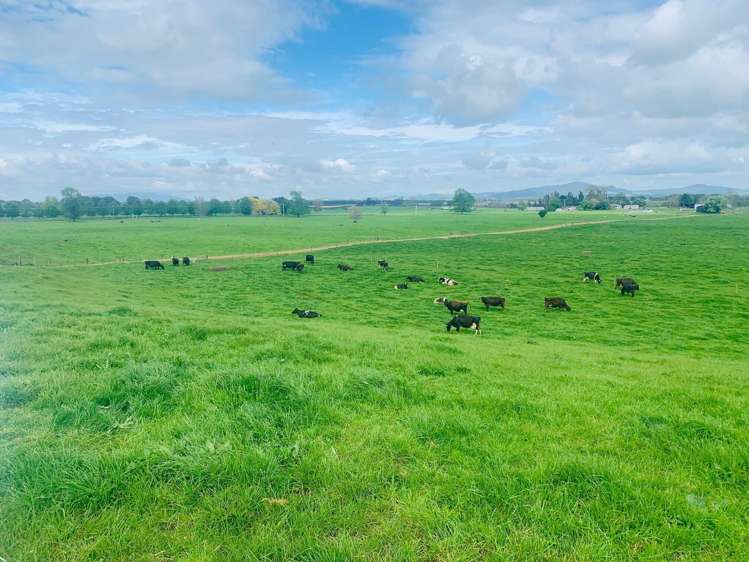 289/296 Tauranga Road Matamata_7