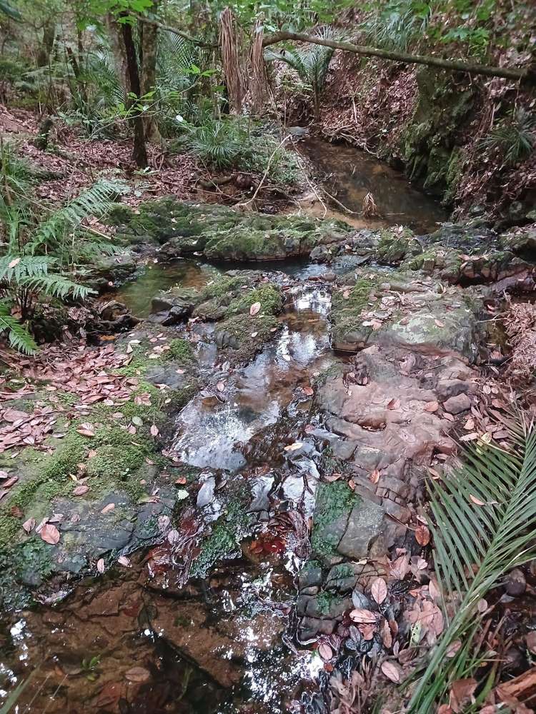 41 Pinehill Road Pakaraka_11