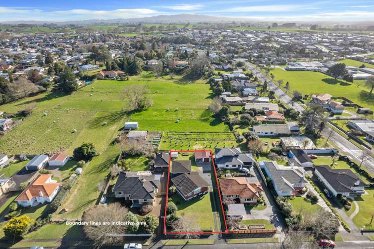 51 North Street Morrinsville_19