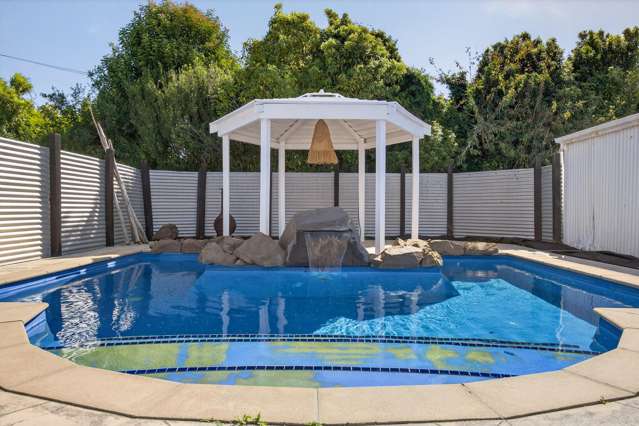 33 Albert Street Te Hapara_1