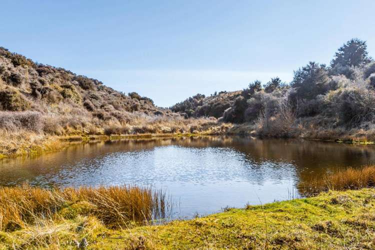 41 Totara Place Queensberry_16