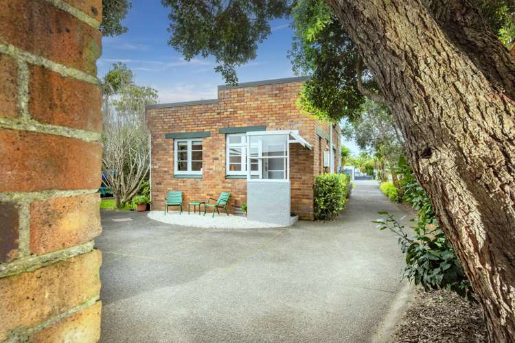 1c Foch Avenue Mount Roskill_17