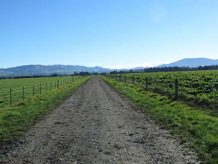 893 Tramway Road Mount Somers_9