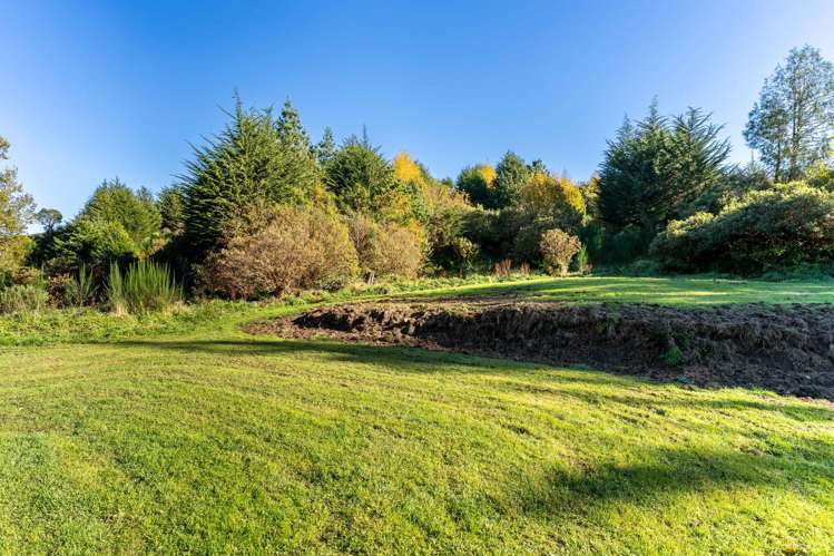 315 Leith Valley Road Leith Valley_24