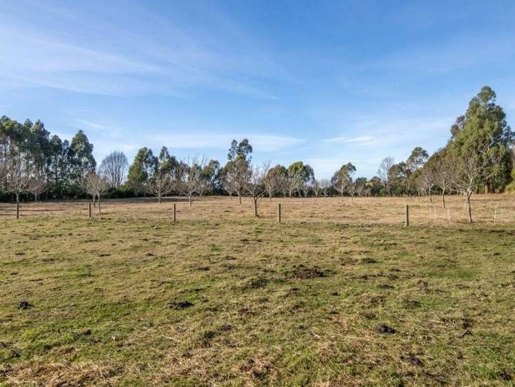 870 Weedons Ross Road West Melton_23