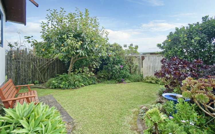 39b Queen Street Te Puke_4