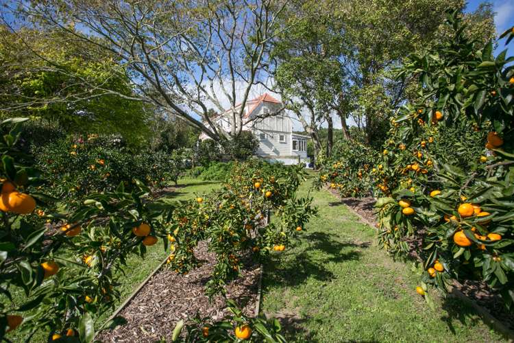 36 Totara Valley Road Thames_7