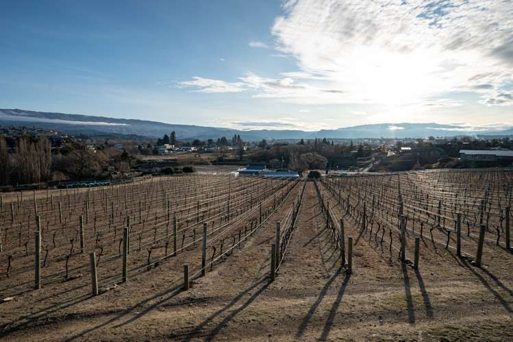 65 Graveyard Gully Road Alexandra_19