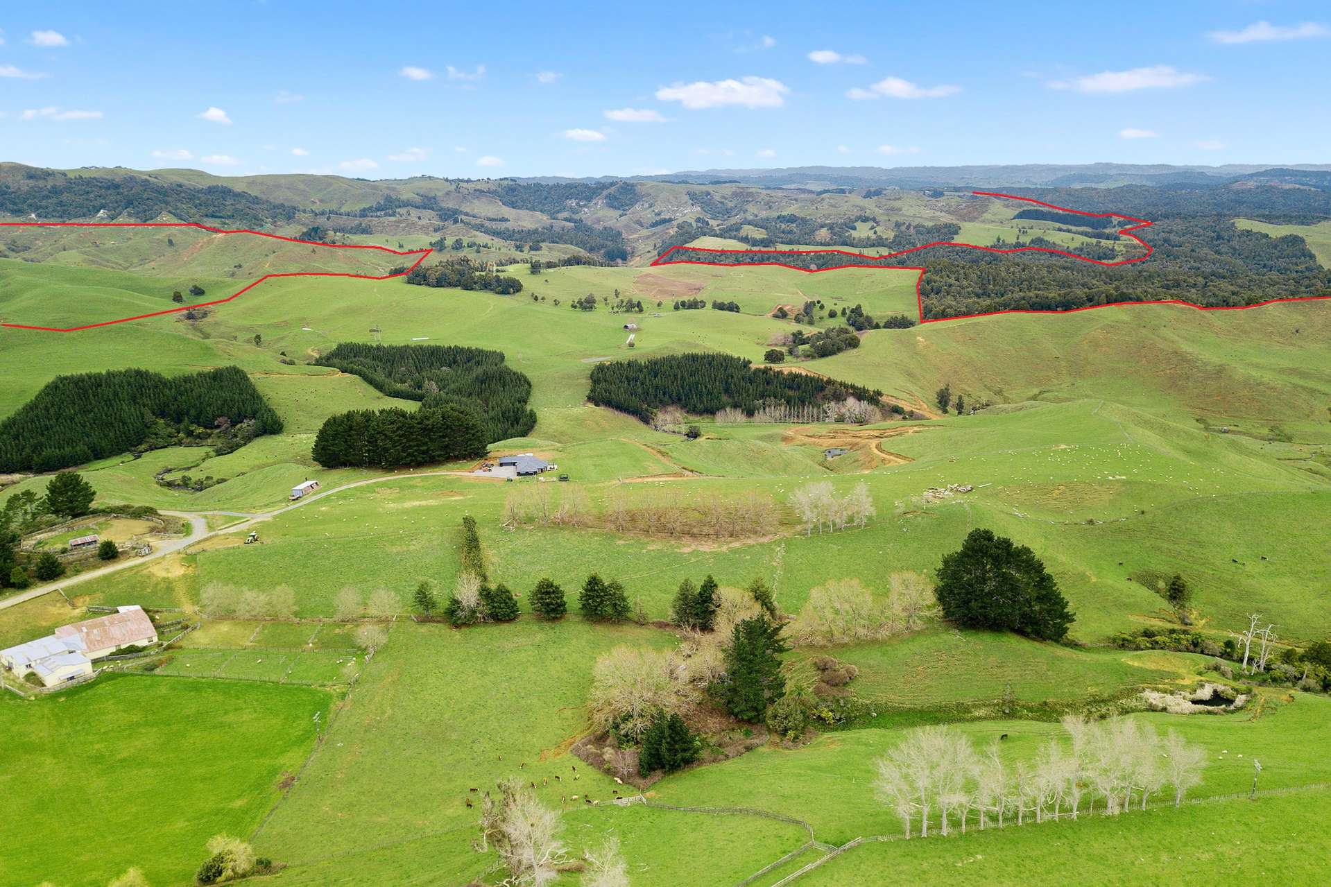 860 Okupata Road | Oparau | Otorohanga | Houses for Sale - One Roof