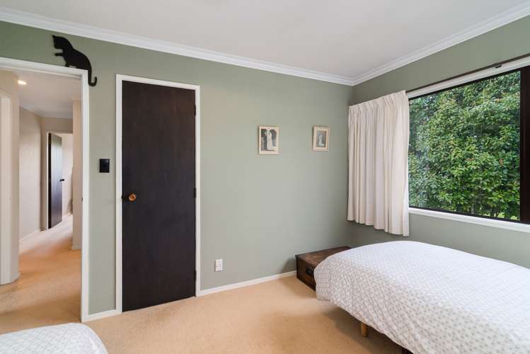 45 Springfield Road Springfield_16