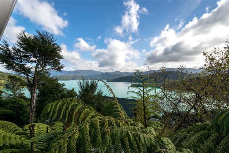 2945 Kenepuru Road Kenepuru Sound_11