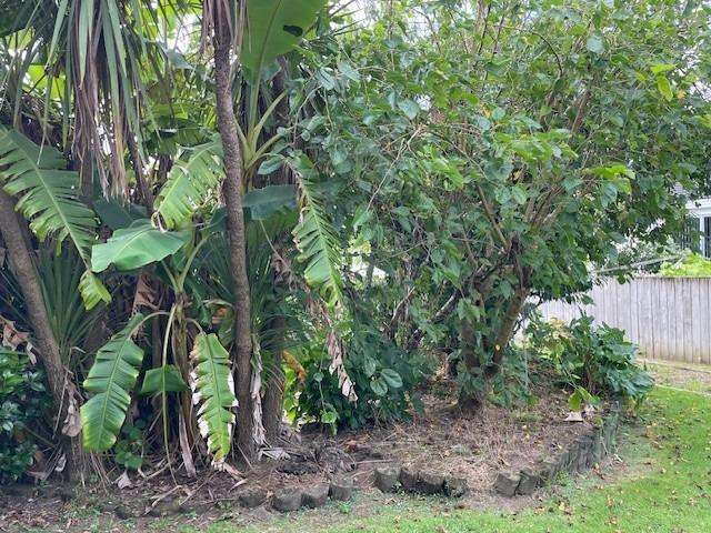 66 Elliot Street 10937_3