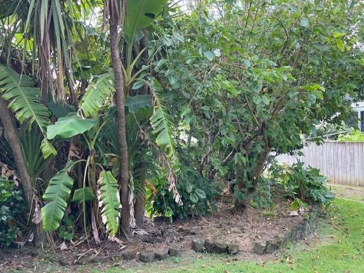 66 Elliot Street 10937_3