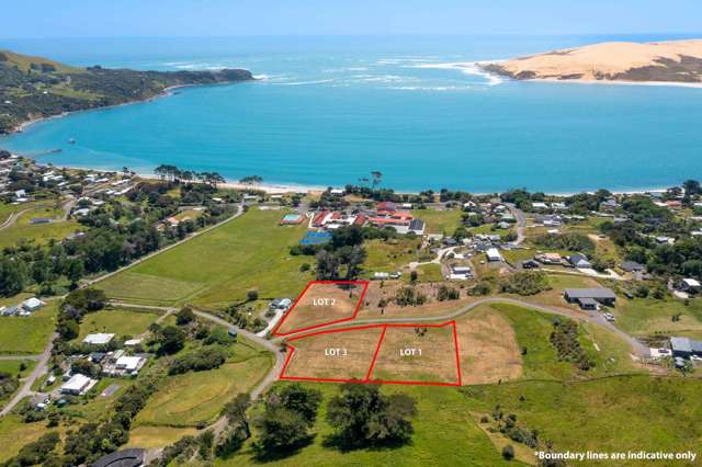Build Your Coastal Dream In The Hokianga
