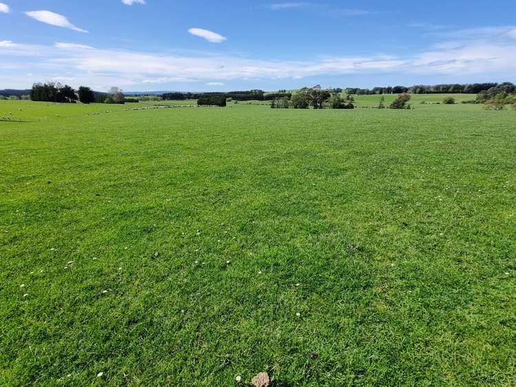 199 Moa Hill Road Clinton and Surrounds_17