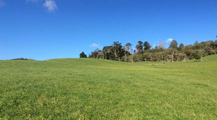 216 Morrison Road Arapohue_13