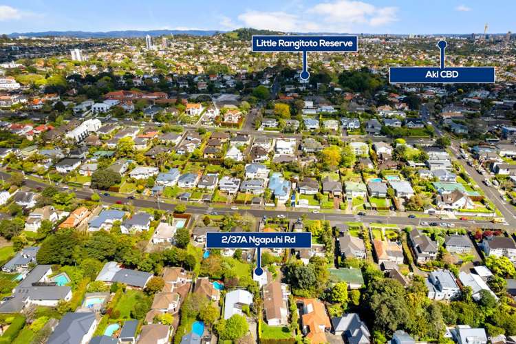 2/37A Ngapuhi Road Remuera_19