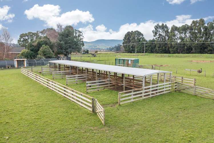 22 Dukes Road North Mosgiel_30