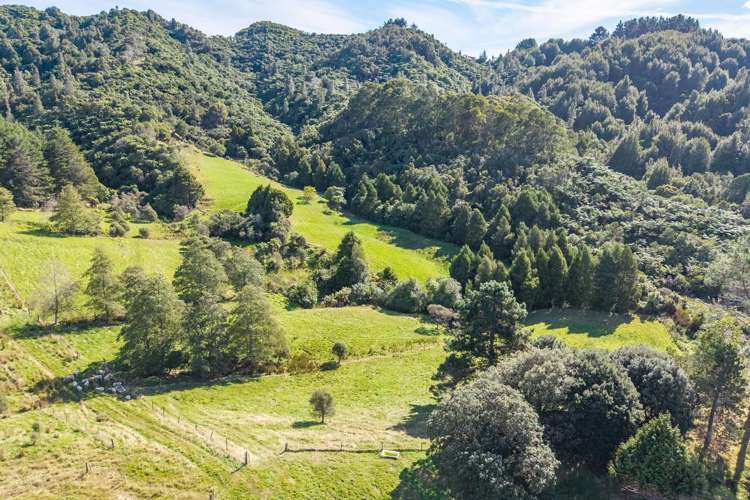 358 Kuku East Road Manakau_21