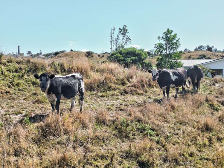 47 Ngatarua Road Putiki_2