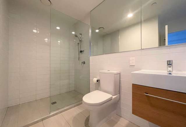 G01/189 College Road Stonefields_4