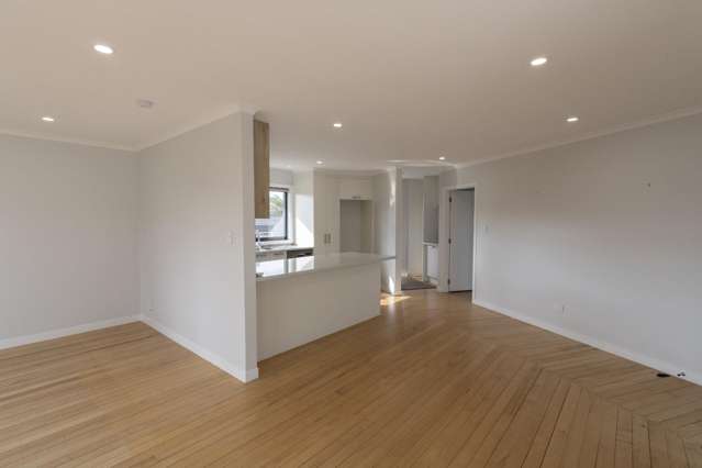 62 Thompson Street 11373_3