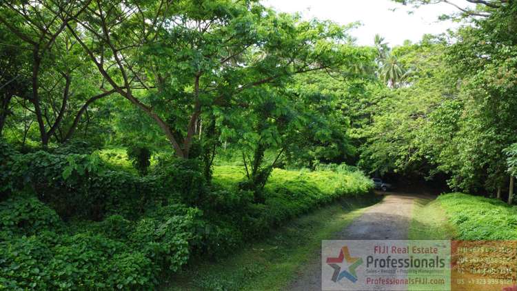 Address withheld Taveuni_13