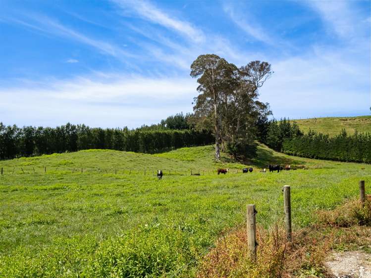 449 Crawford Road Te Puna_9