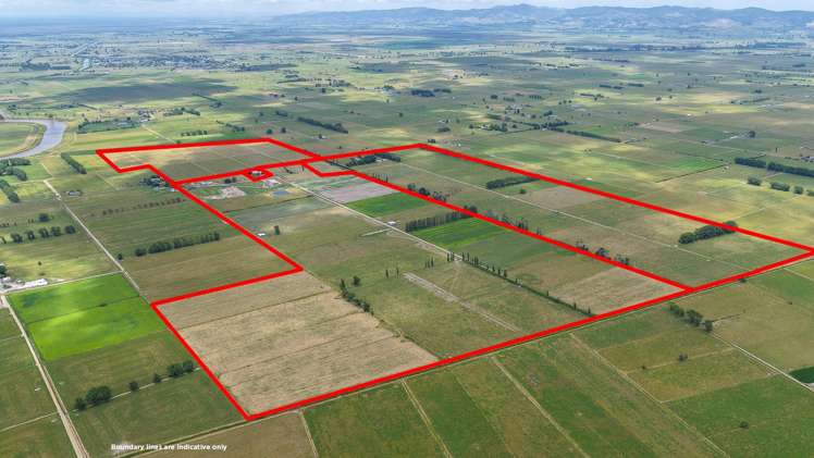 133 Hopai East Road Pipiroa_14