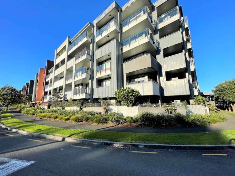 G03/2 Bluegrey Avenue Stonefields_12