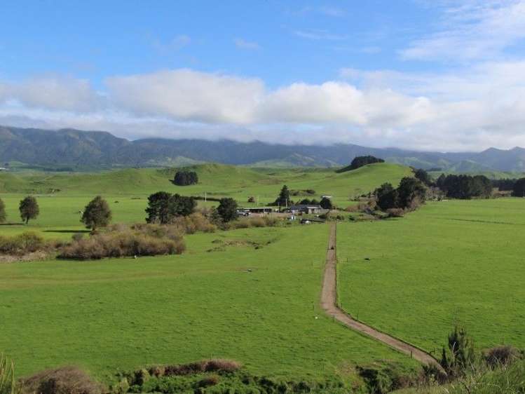 25 Knight Road Woodville_0