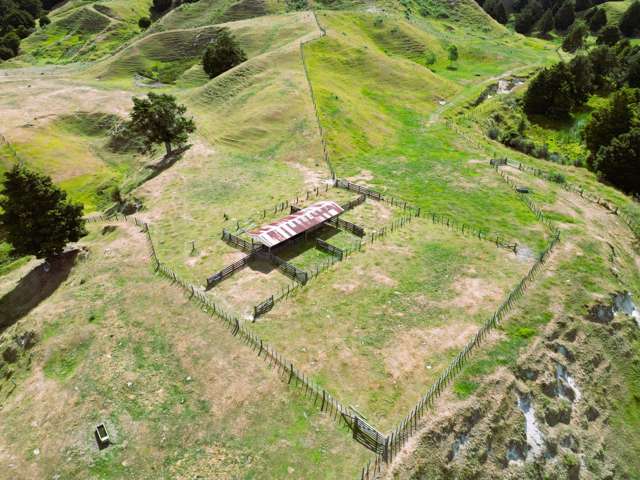 5484 State Highway 4 Ongarue_3