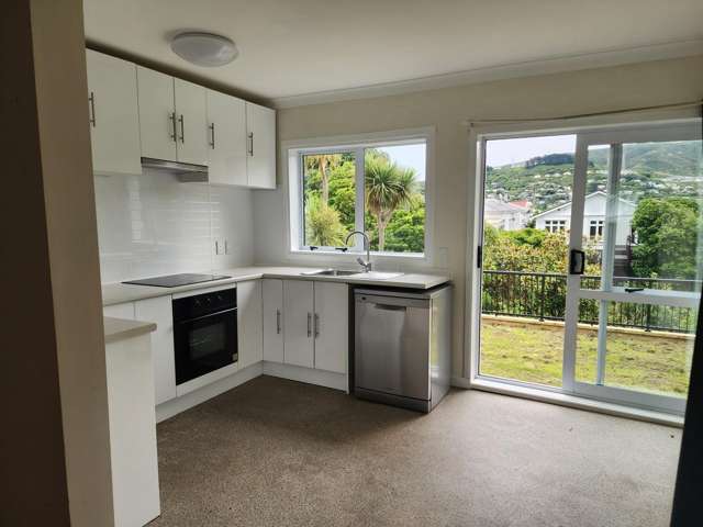  10 Pitt Street Wadestown_2
