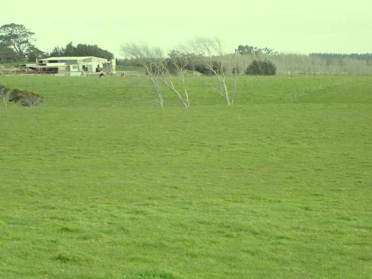 1433 State Highway 3 Turakina_28