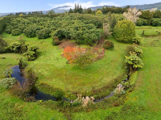 222 Wharawhara Road Katikati_1