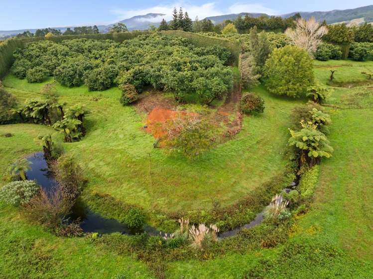 222 Wharawhara Road_1