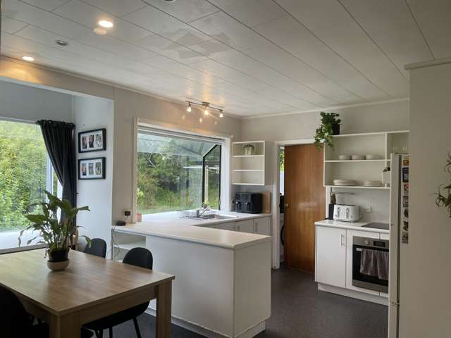 22a Hine Road 10629_2