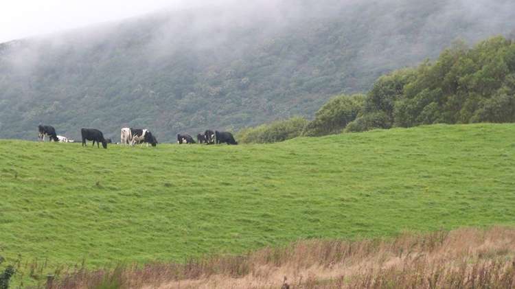 44 Rodgers Road Catlins Surrounds_40