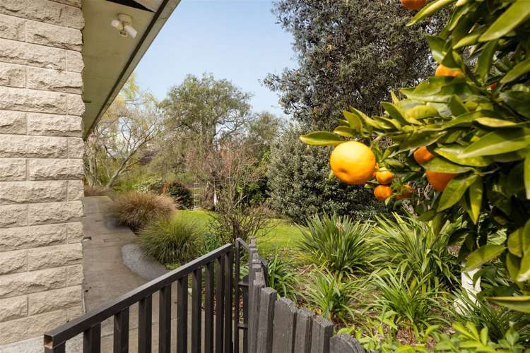 11a Dillons Point Road Islington_29